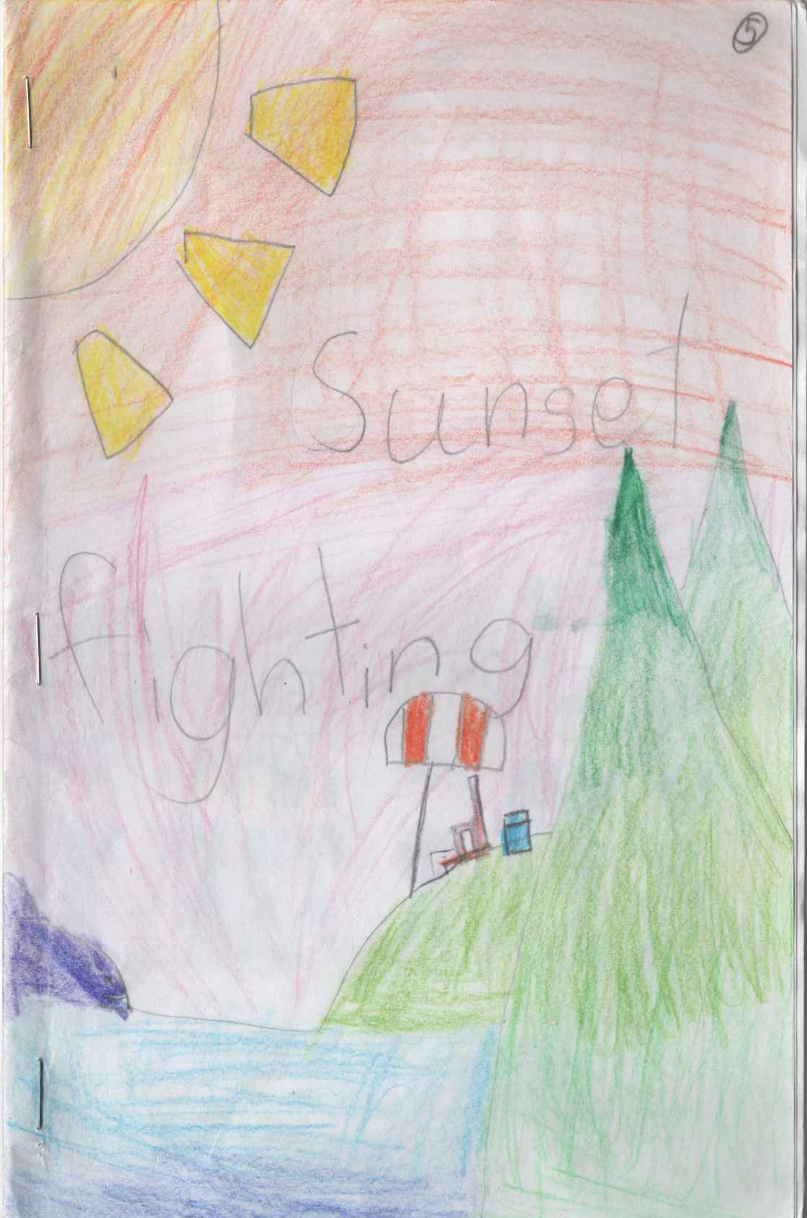 Sunset Fighting